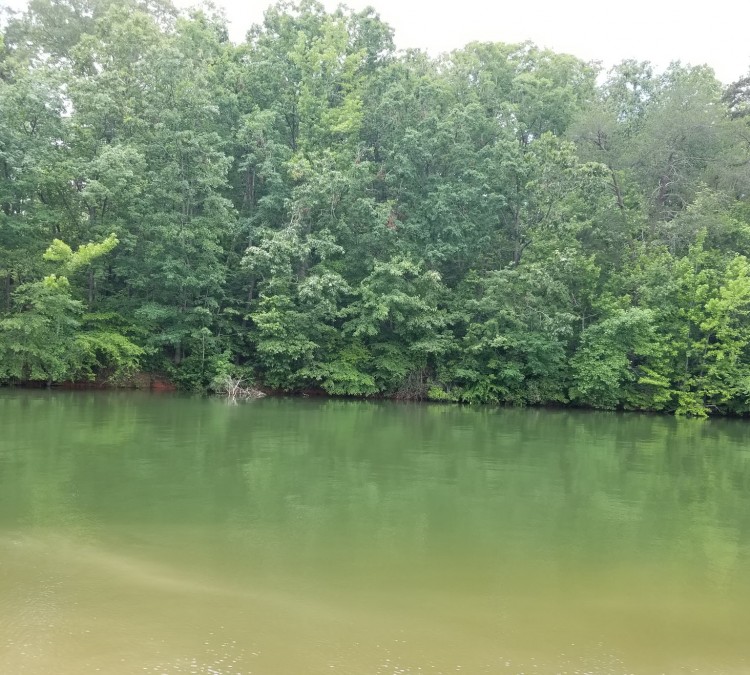 Little River Park Fishing Hole (Gainesville,&nbspGA)